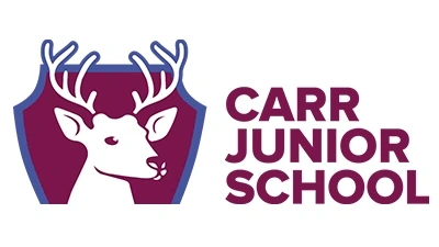  Carrjunior